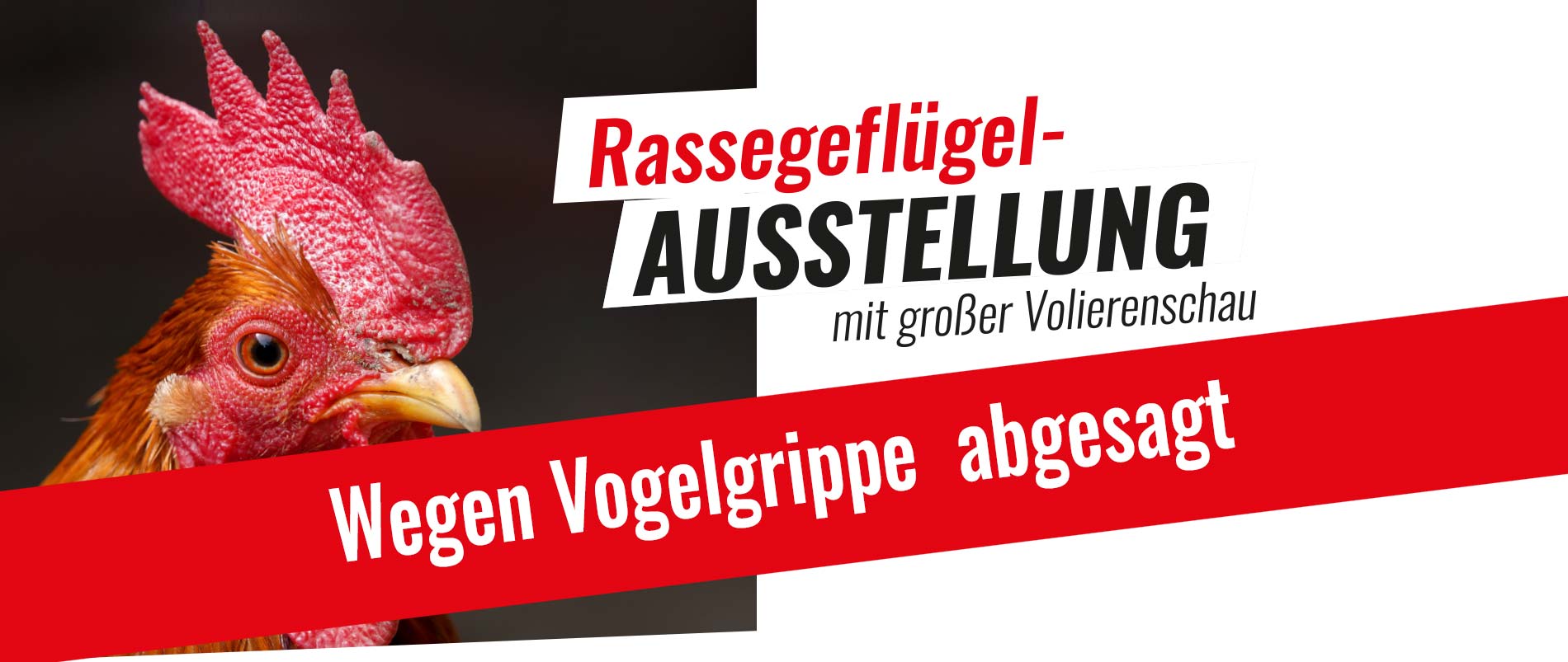 Startseite-RGZV-Ausstellung-2025