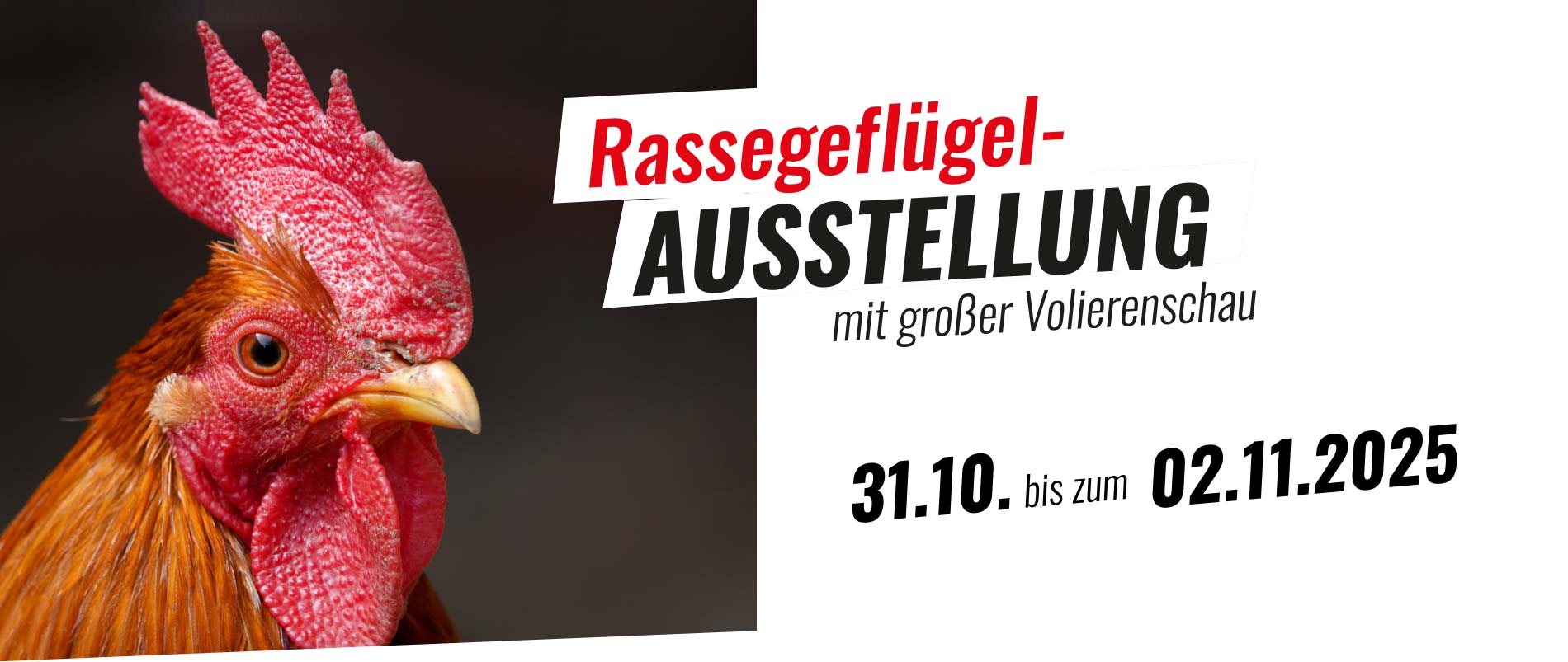 Startseite-RGZV-Ausstellung-2025